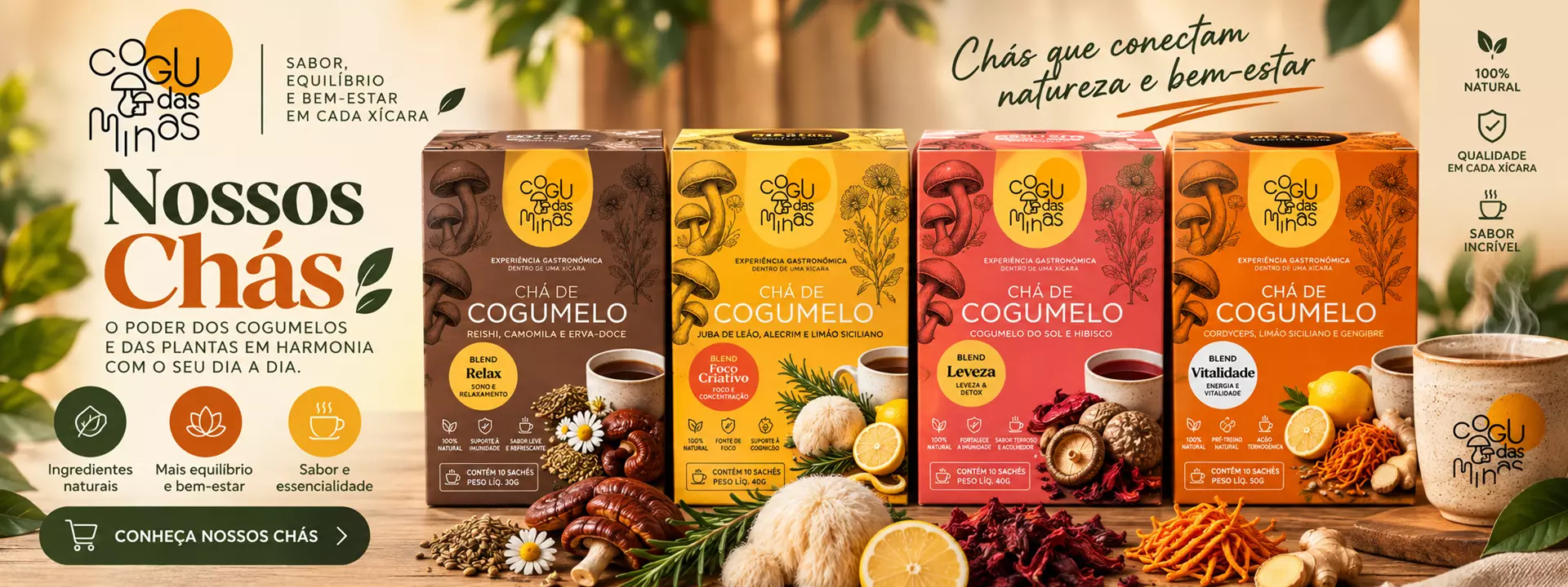 Nossos chás de cogumelo