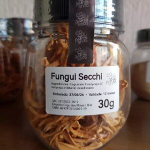 Funghi Secchi Cordyceps Militaris