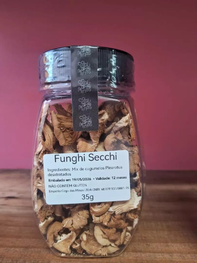 Funghi Secchi