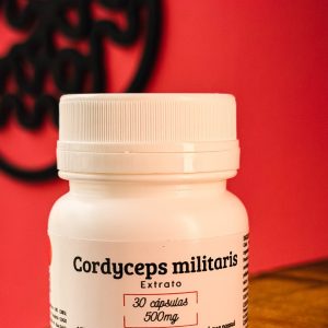 Extrato de Cordyceps Militaris